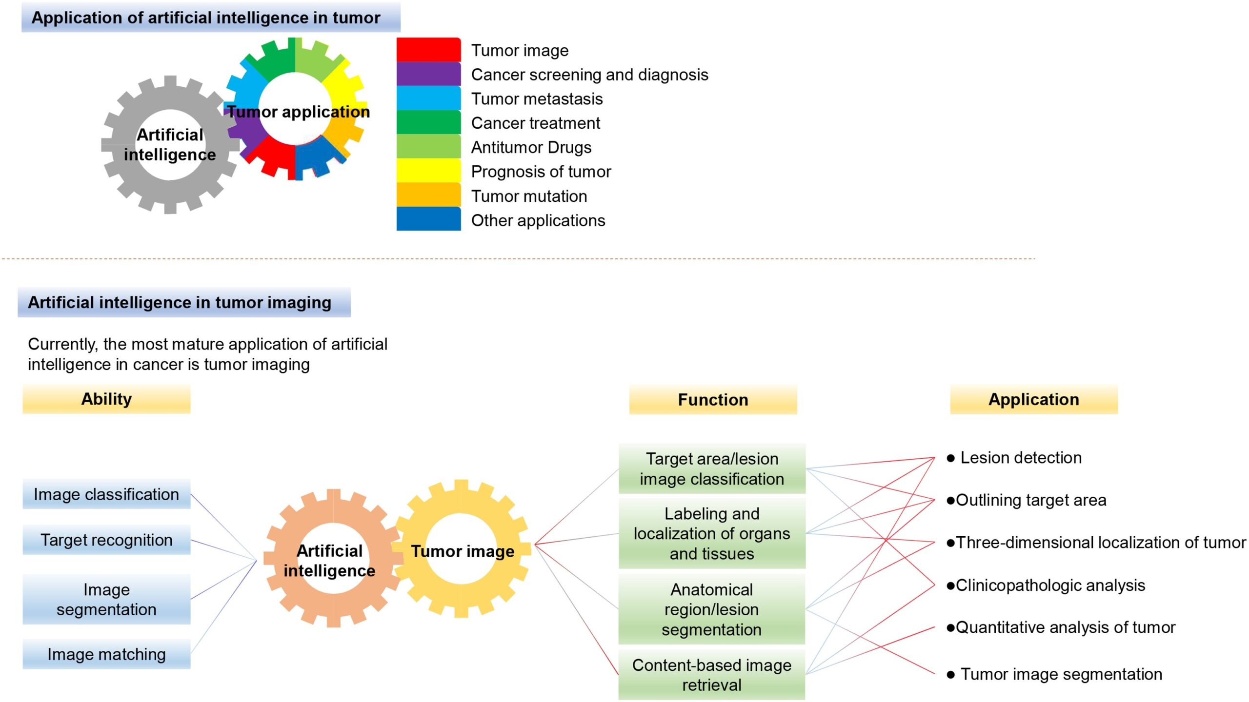 Chart showing the applications of AI in treating cancer tumors
