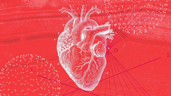 cardiovascular heart health diagram