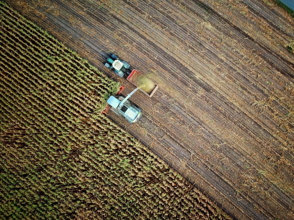 agriculture on a farm