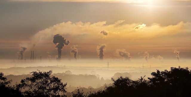 carbon emissions trees and smoke - free stock image via Pexels/Pixabay