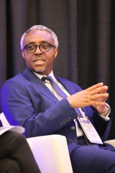Dr. Tolulope Adewole, Chief Executive Officer at NSIA Healthcare Development and Investment Company (NHDIC)