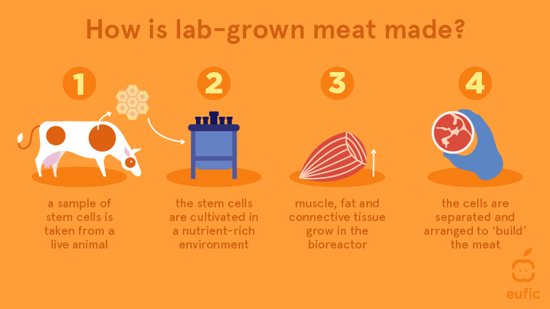 A chart showing how lab-grown meat is made