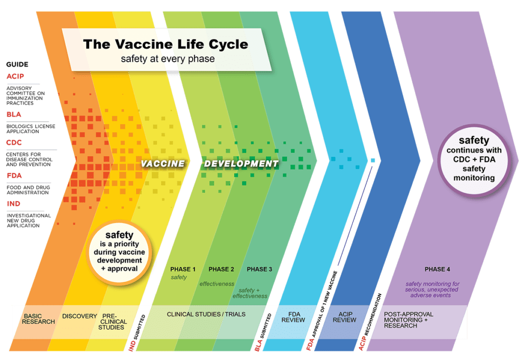 The vaccine safety process
