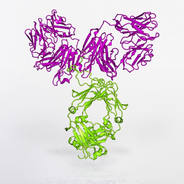 BIO 2026: Realizing the promise of CAR-T cell therapies