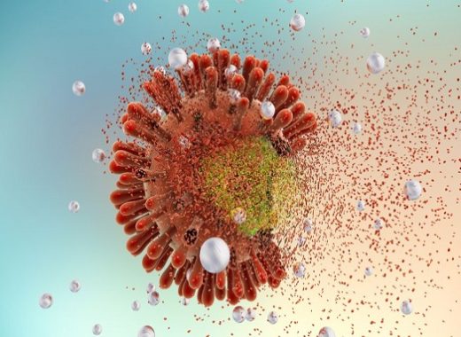 diagram of the HIV virus