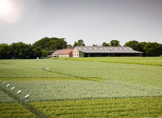 bayer-farm