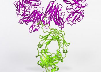 national-institute-of-allergy-and-infectious-diseases-oc12eprOeoI-unsplash